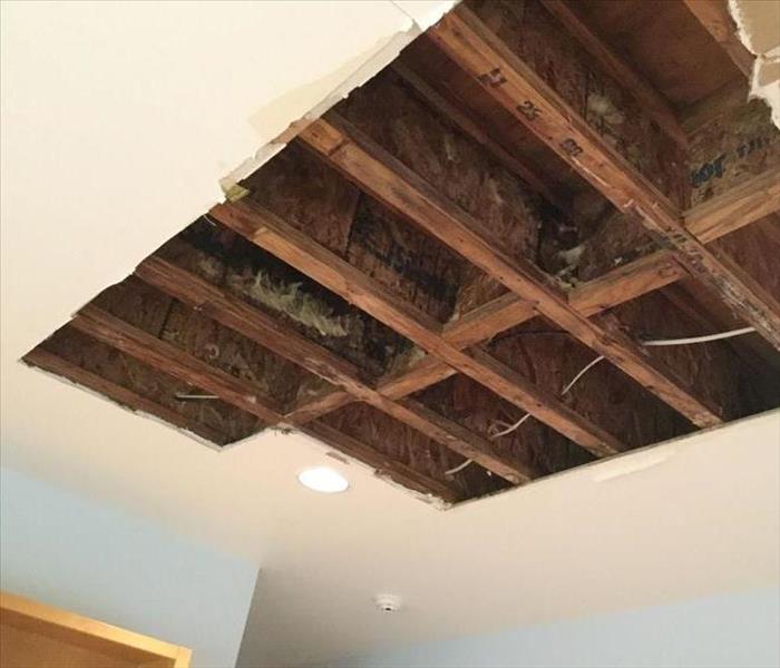 Mold Damage in Ceiling