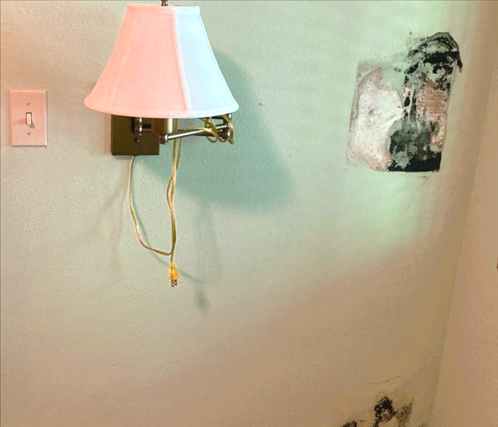Mold in the corner and near a lamp on the wall of a bedroom.