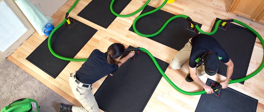 Portland, OR drying water extraction